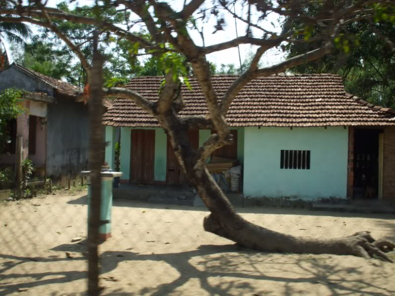 DSCF7268.jpg