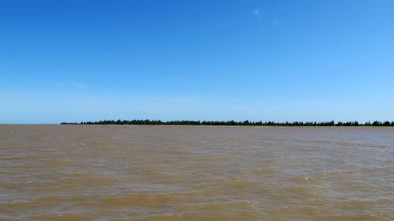 IMG_8381.jpg