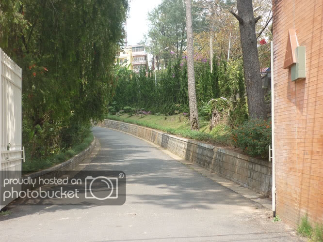 P1080440.jpg