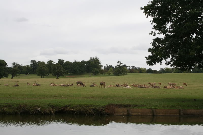 131-1.jpg