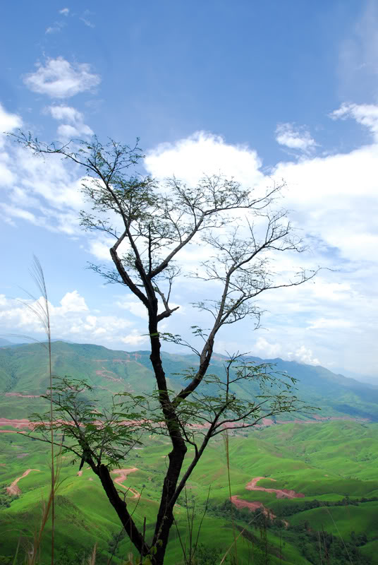 DSC_1298resize.jpg