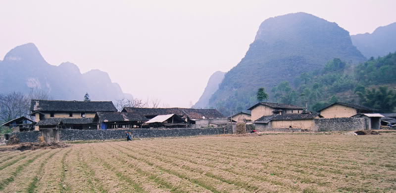 000062_resize.jpg