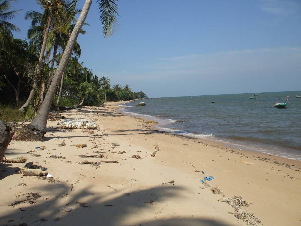 DSCF4936.jpg