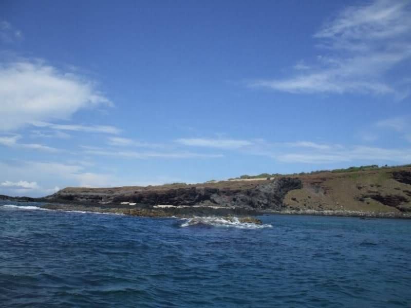 DSCF7557.jpg