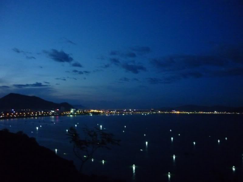P1000284800x600.jpg