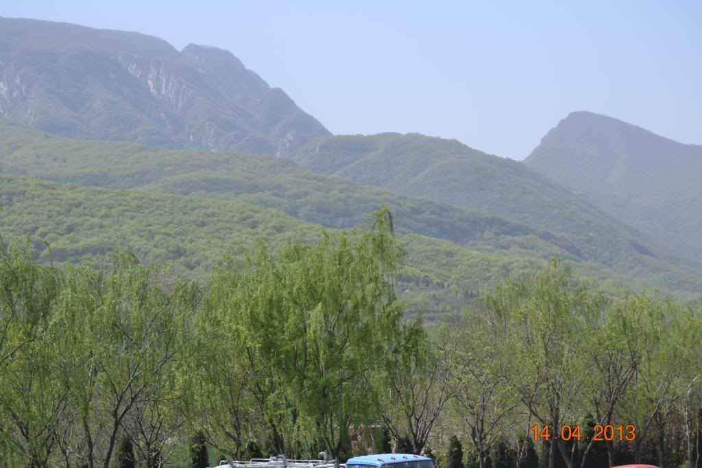 DSC_1023_zpscf48b171.jpg