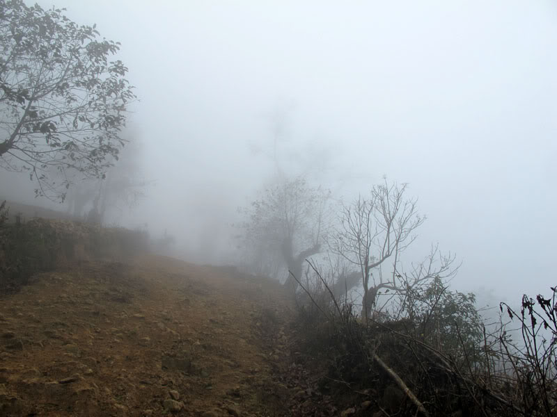 HongNgai2011559.jpg