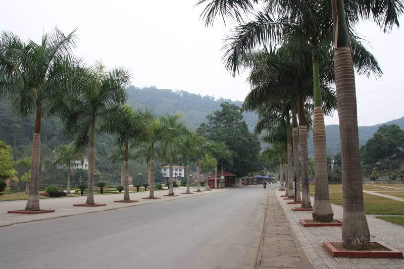denthuong2.jpg