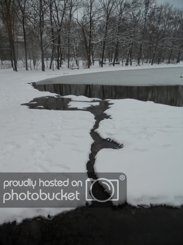DSCN2509.jpg