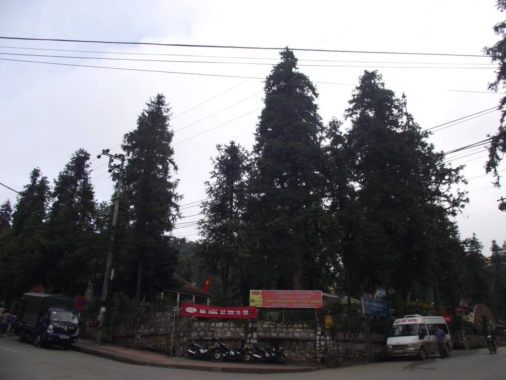 2011_014.jpg