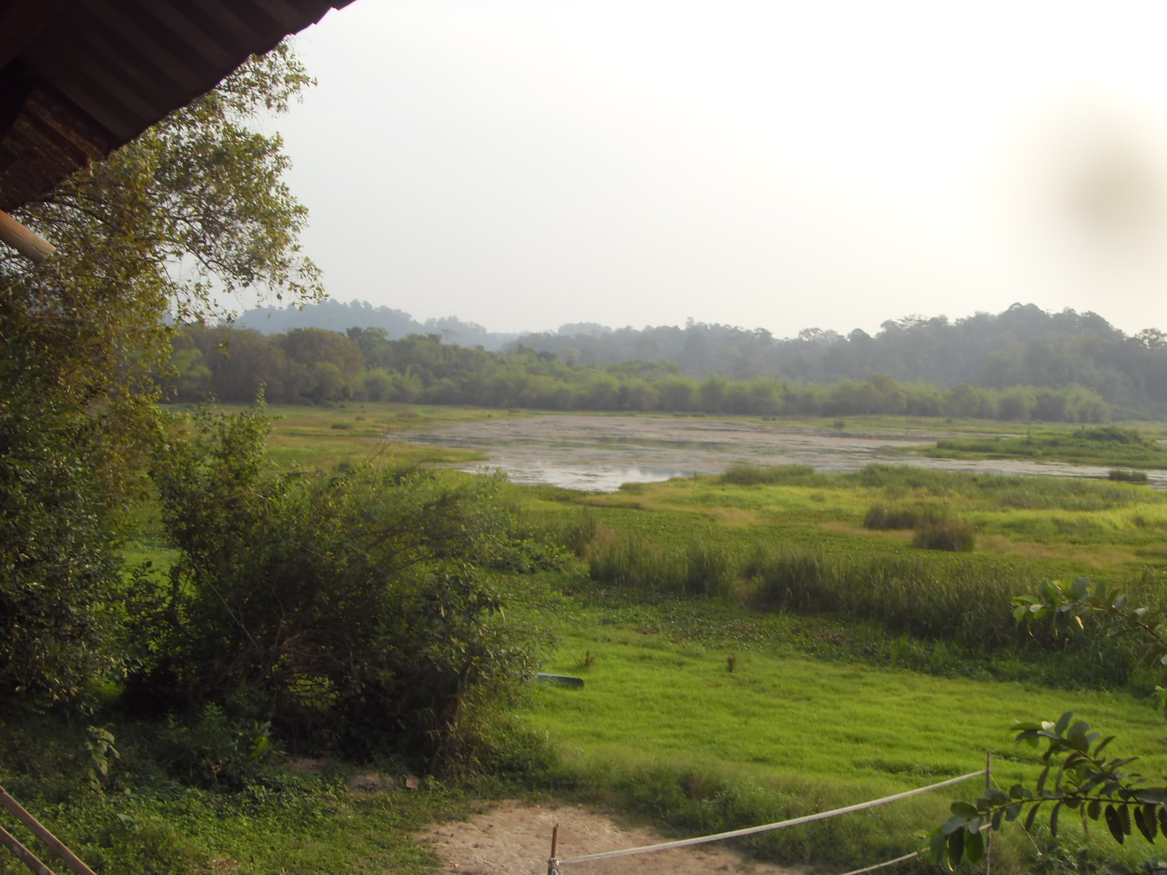 SDC11004.jpg