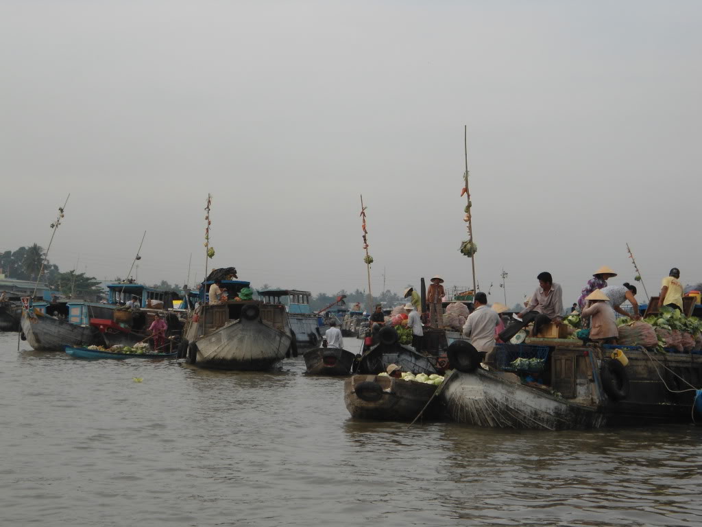 DSC00958.jpg