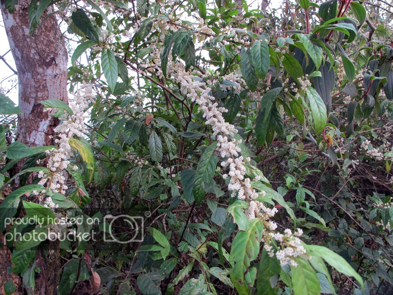 IMG_1155_zpsfa3c1a81.jpg