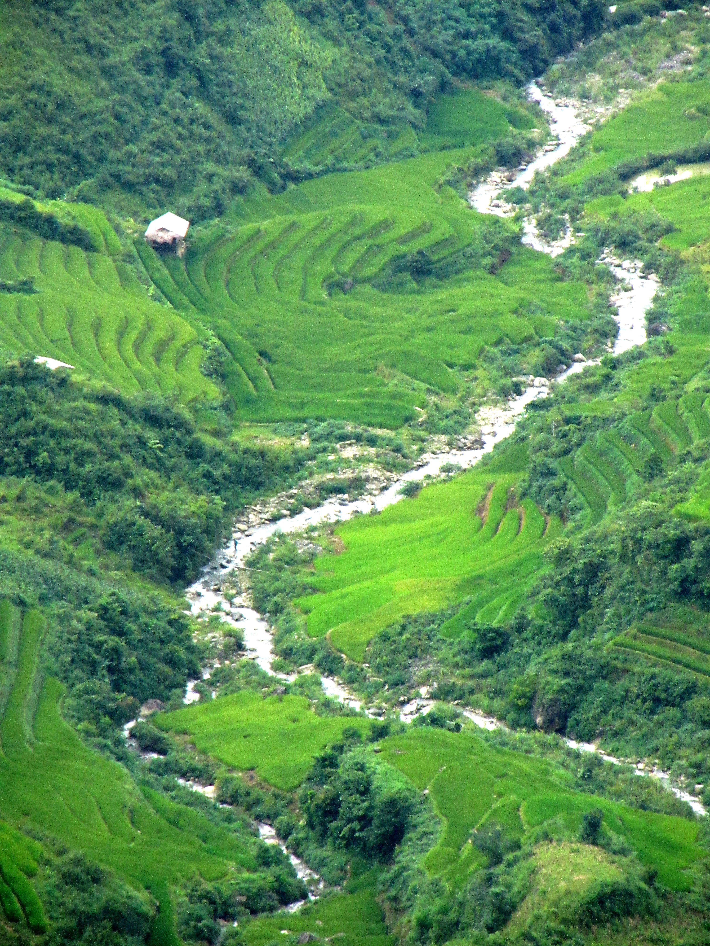 15135368545_95d6456ea7_o.jpg
