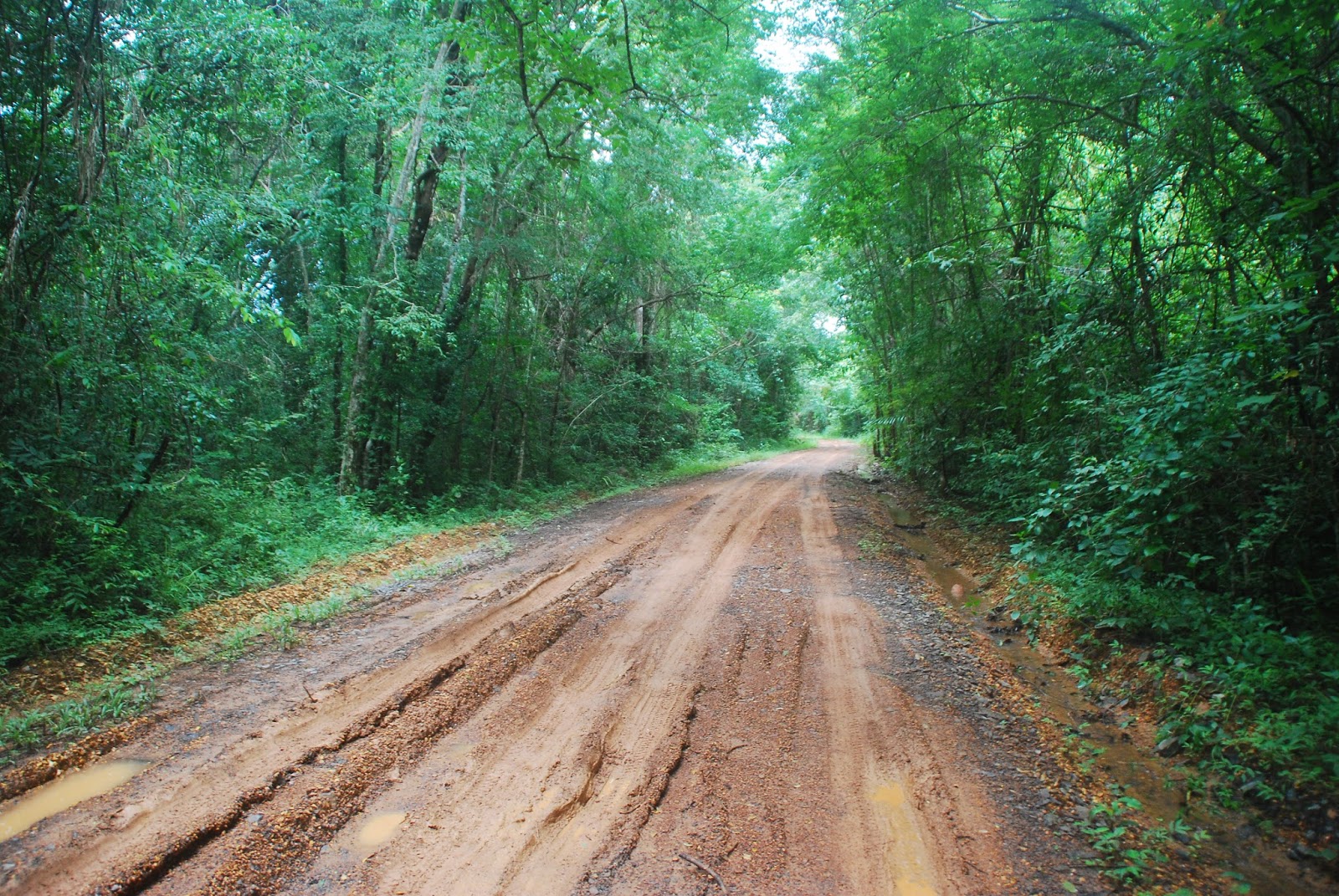 DSC_6922.JPG