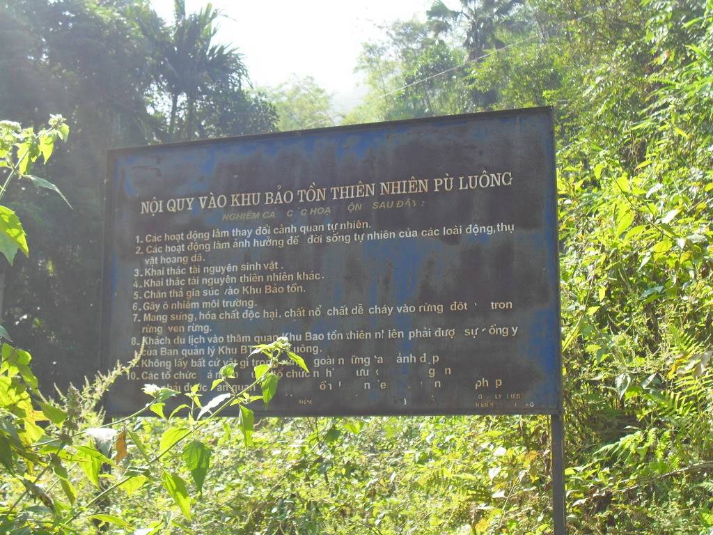 SDC10595.jpg