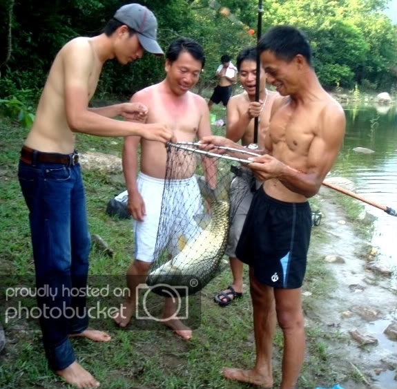 ALenhang.jpg