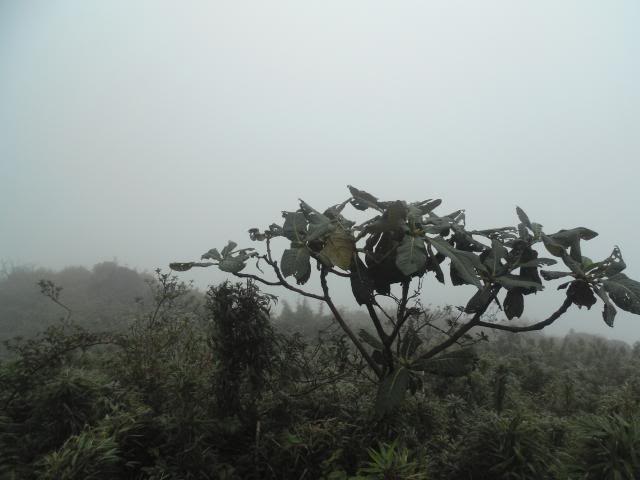 DSC01405_zps7c2fd520.jpg