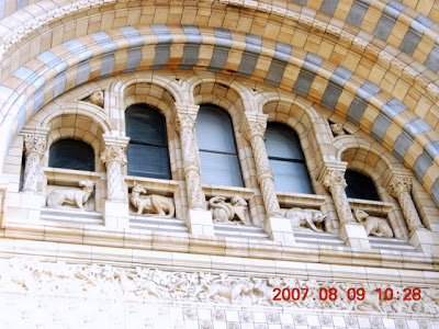DSCN3646.JPG
