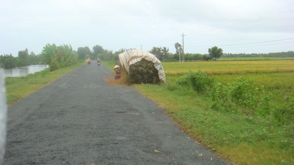 199.jpg