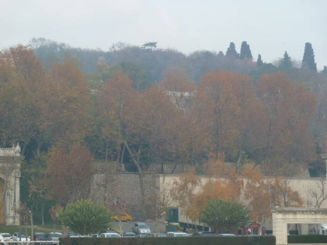 L1020681.jpg
