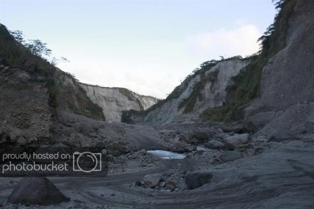 _MG_2335Large.jpg
