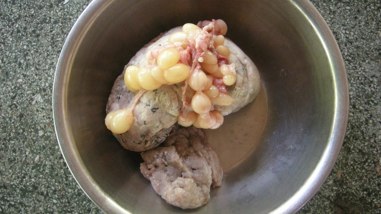 DSCN2688.jpg