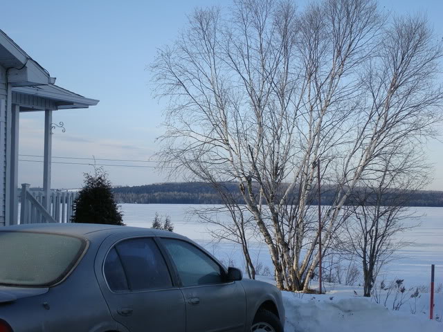 DSC09046.jpg