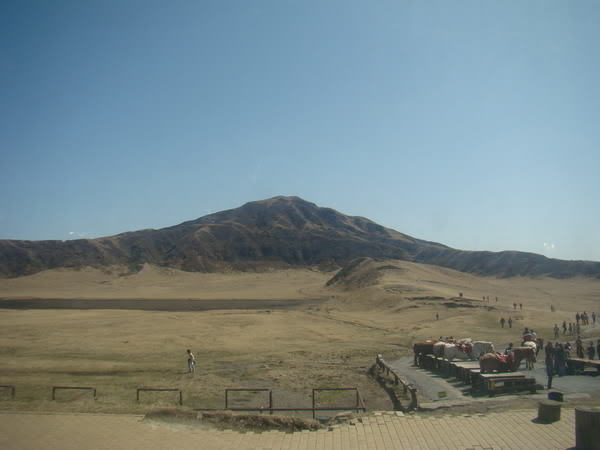 DSC02354_resize.jpg