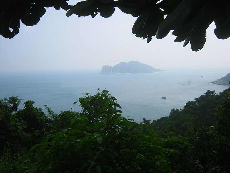 IMG_7349.jpg