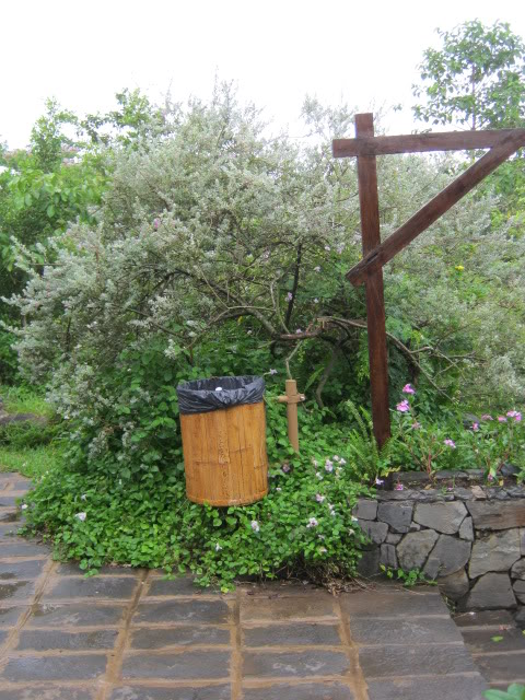 IMG_7222.jpg