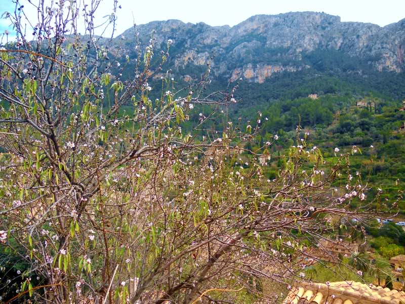 DSCN6212.jpg