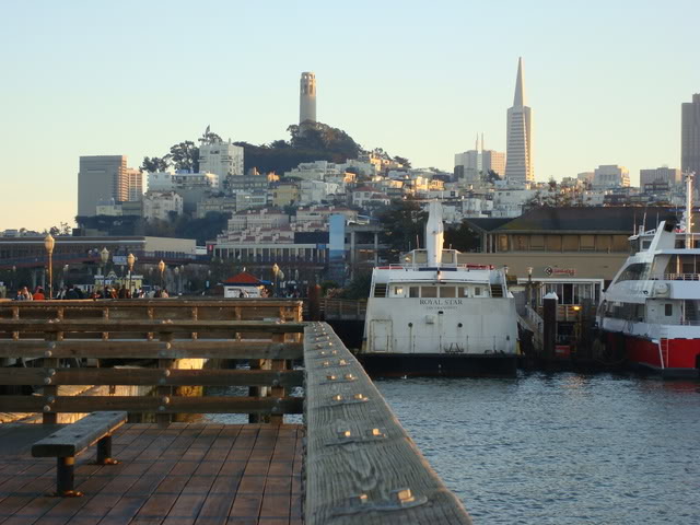 DSC07411.jpg