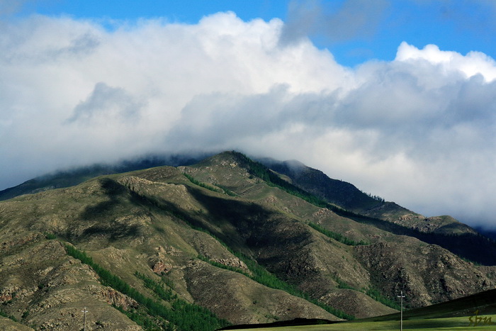 IMG_6704.jpg