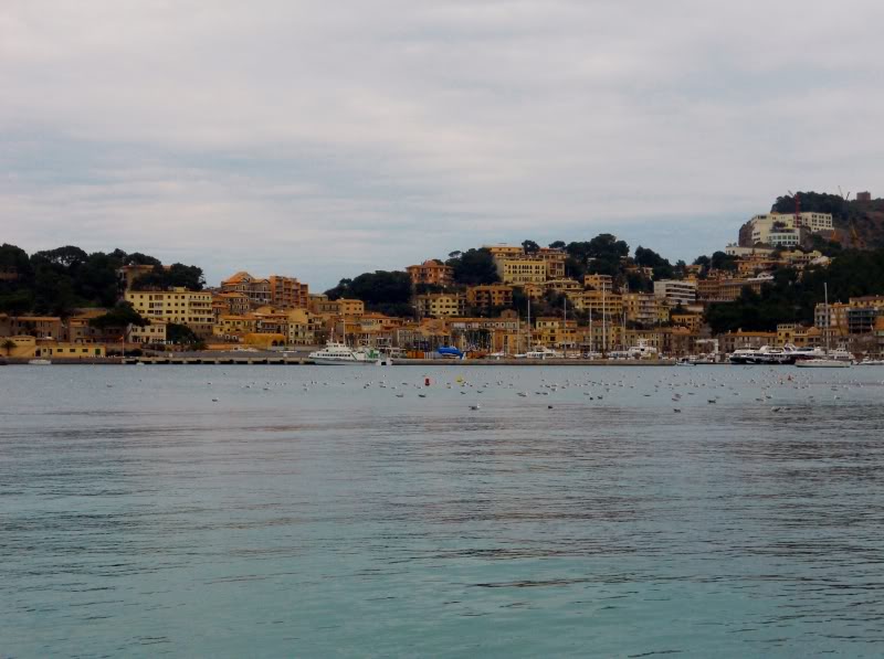 DSCN6163.jpg