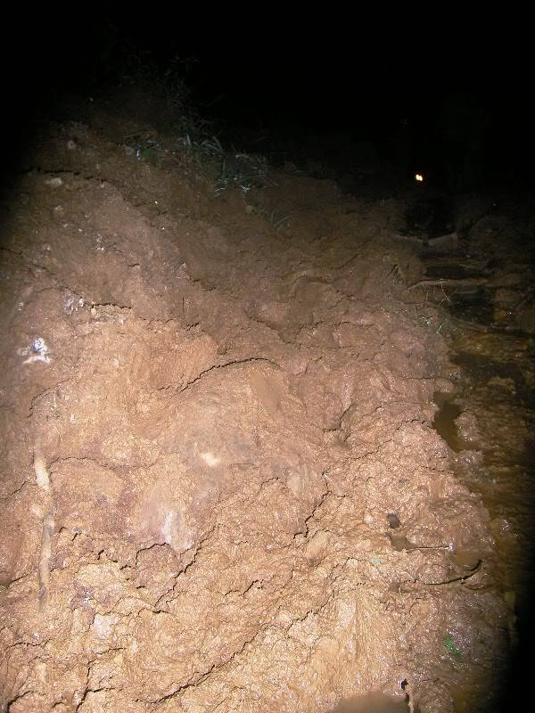 SANY0182-1.jpg