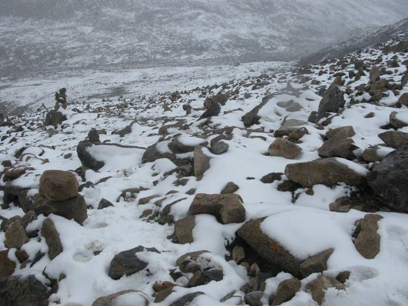 10-KoraDay23-1.jpg