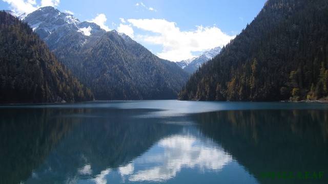IMG_1771.jpg
