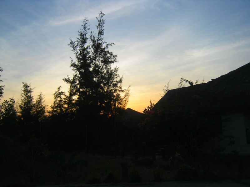 IMG_2791.jpg