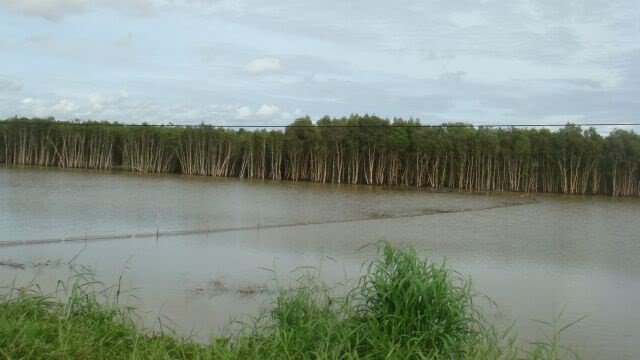 DSC05532.jpg
