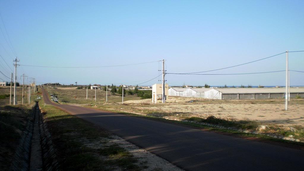 265.jpg