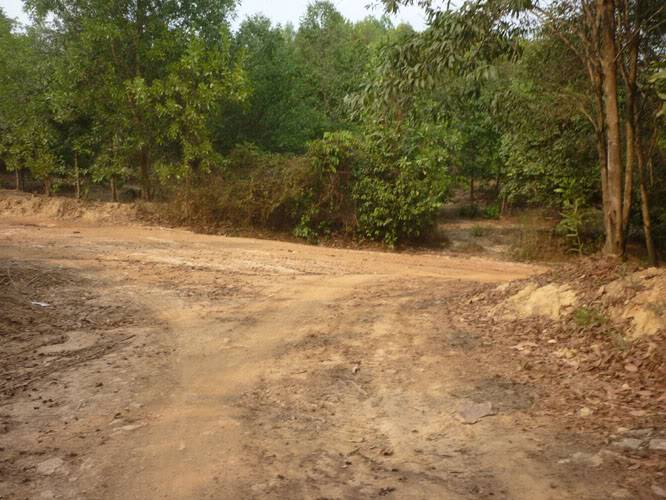 P1240634.jpg