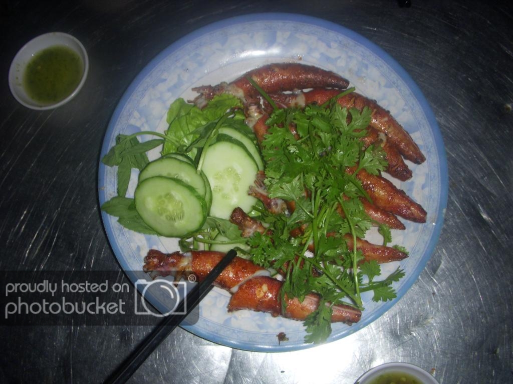 DSCN5851_zps0e8a51ed.jpg