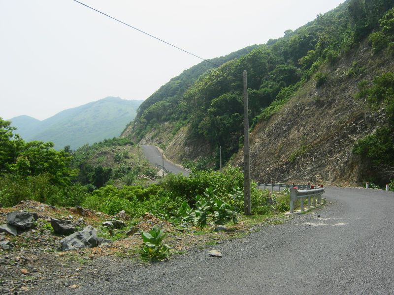 IMG_7923.jpg
