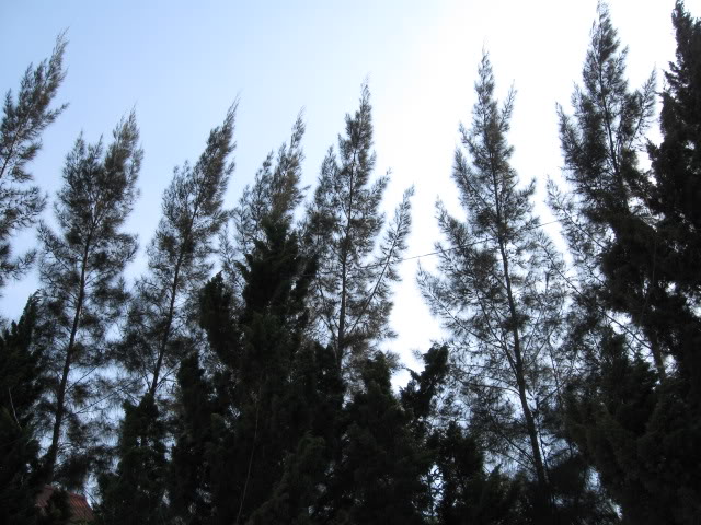 IMG_1863.jpg