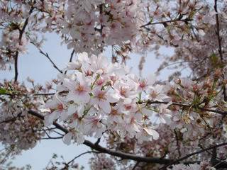 DSC02612.jpg