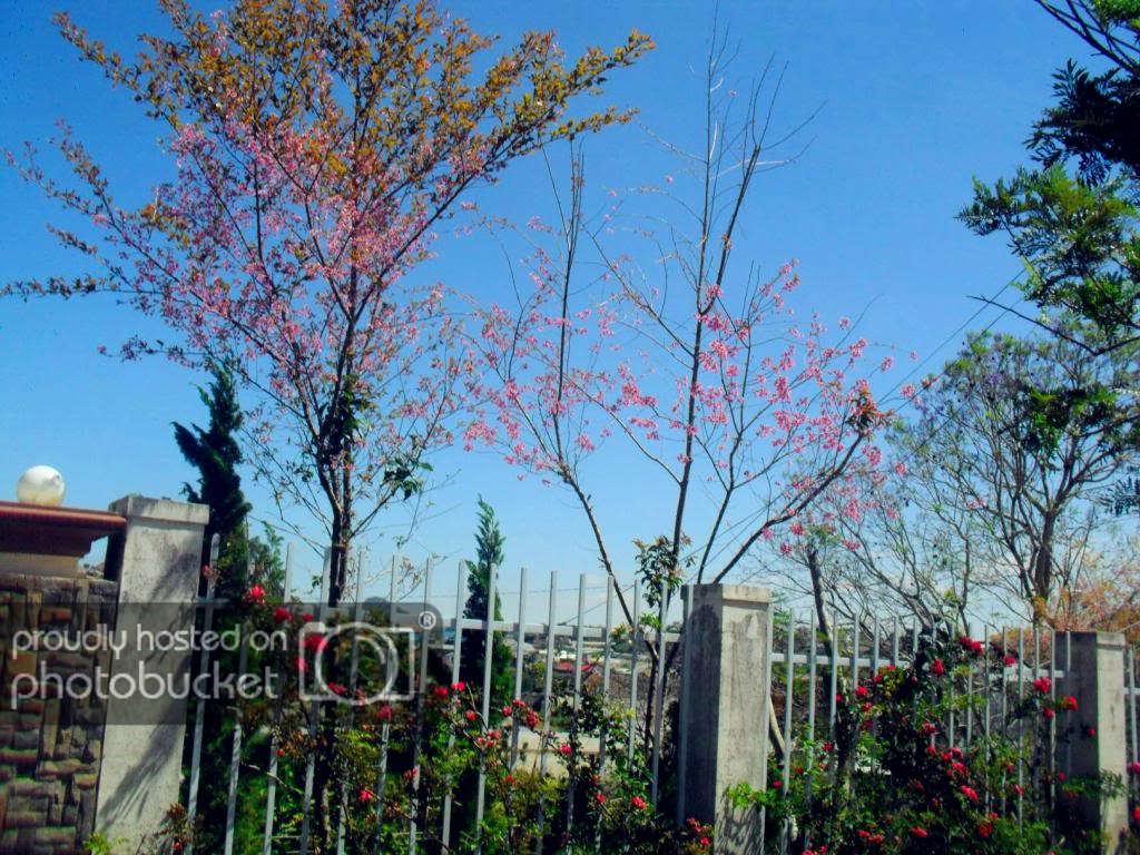 SAM_0120_526F672C.jpg