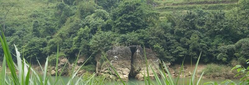 DSC01141-1.jpg
