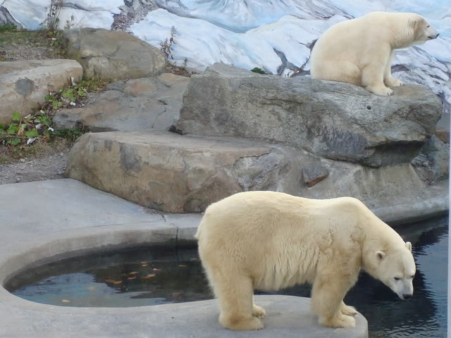 DSC05727.jpg