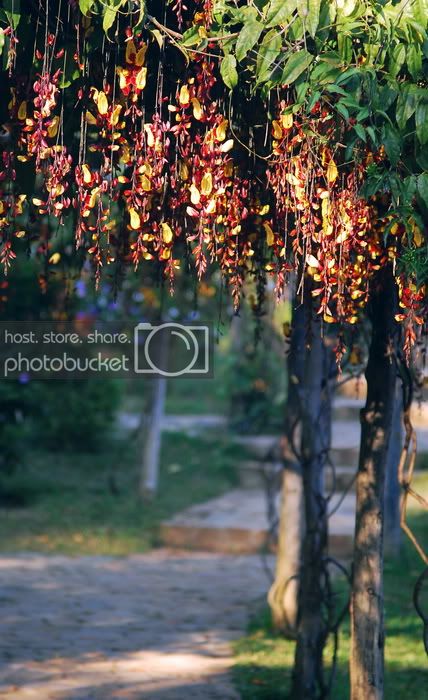 DSC_5405_resize.jpg